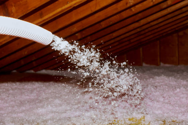 Best Insulation Inspection Services  in Upland, PA